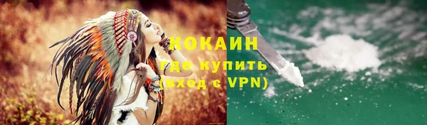 индика Алексин