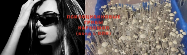 стафф Алексеевка