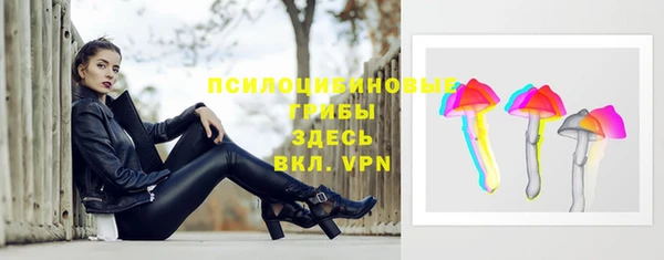 индика Алексин