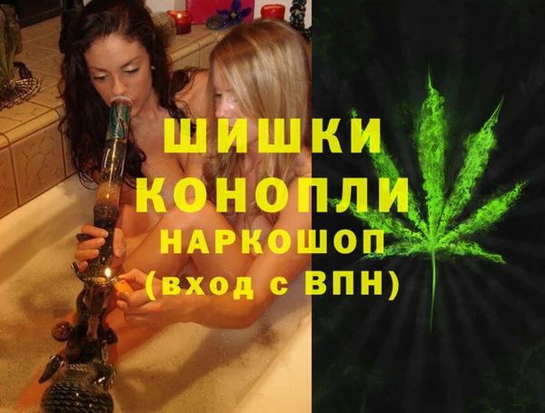 дурь Алзамай