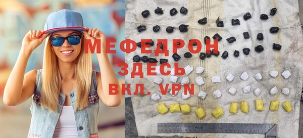 индика Алексин