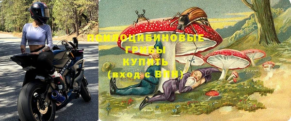 индика Алексин