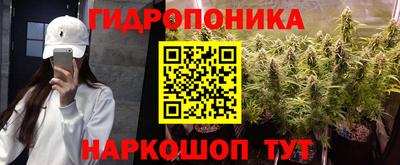 гидропоника Пушкино