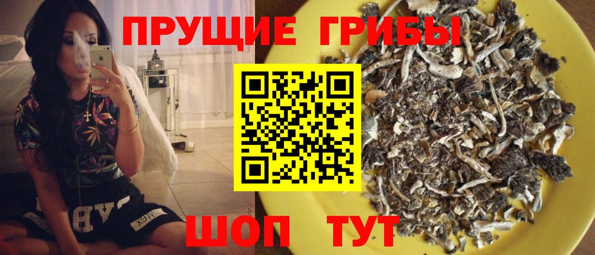 Псилоцибиновые грибы Magic Shrooms  Вход с VPN  Муравленко  Галлюциногенные грибы ЛСД 